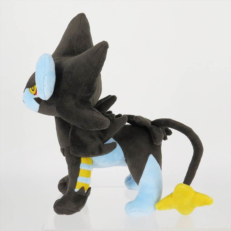 ポケットモンスター_PP209 ﾚﾝﾄﾗｰ(S) | ポケットモンスター（ポケモン
