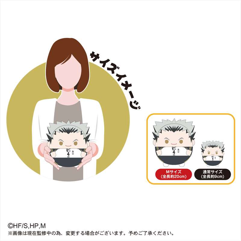 ハイキュー 菅原孝支 ふわコロりん ハイキュー！！ ふわコロりんBIG6 B 菅原 孝支｜ホビーの総合