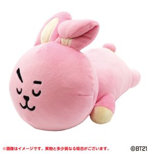 BT21 Fluffy Arm Pillow COOKY