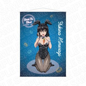 ストライク・ザ・ブラッド公式グッズ通販 | colleize（コレイズ）