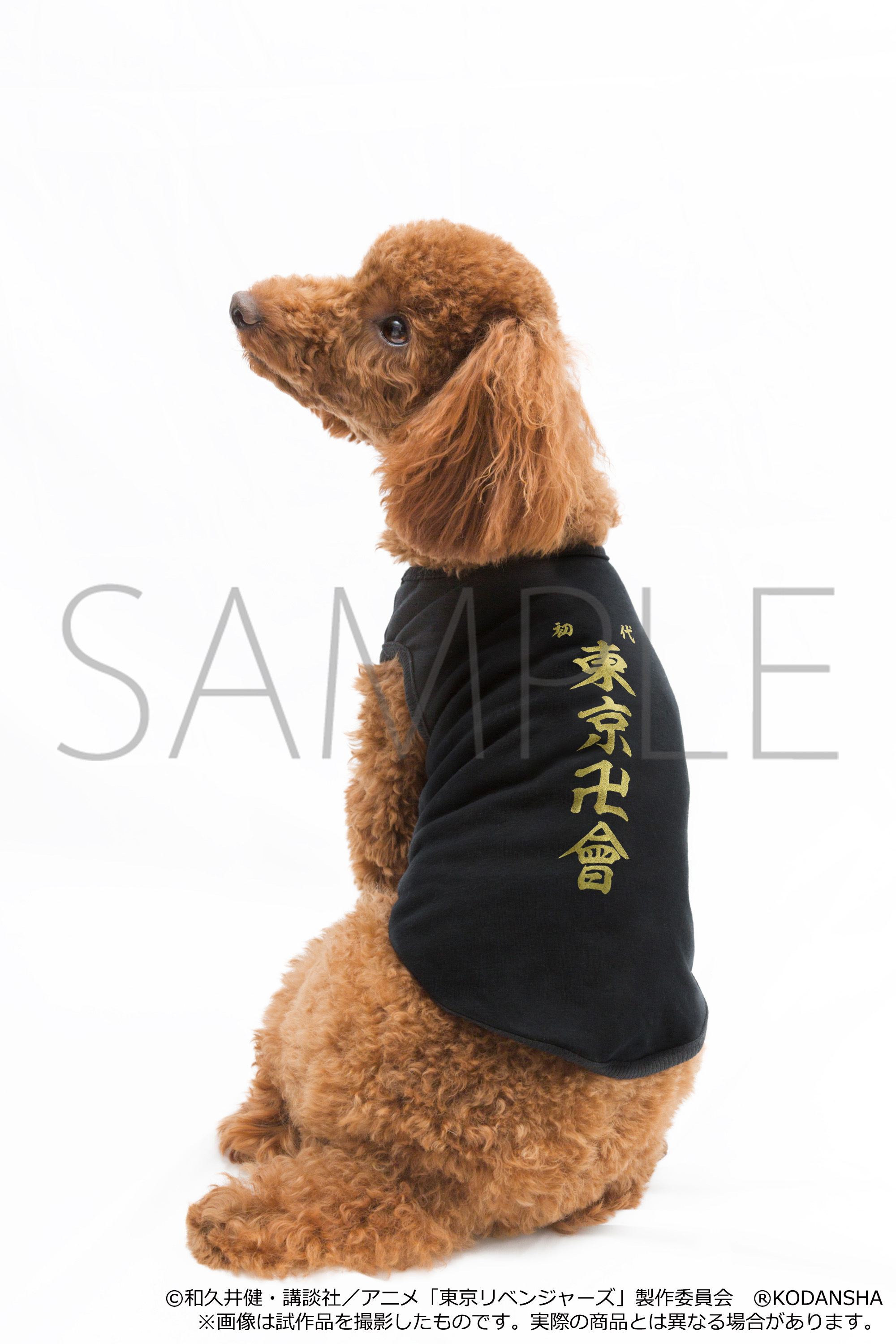 東京リベンジャーズ　佐野万次郎　マイキー ガルフィー　Lサイズ 中型犬 楽天市場】＼30％OFF 8/31まで／東京リベンジャーズ コラボ