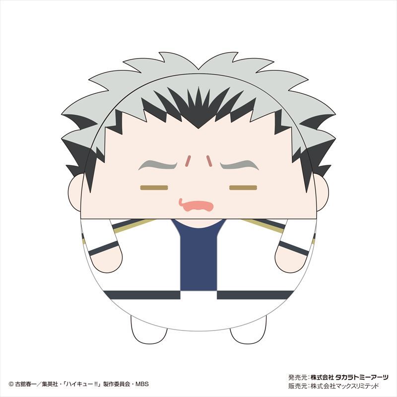 ハイキュー!!_ふわコロりんMsizeSpecial F木兎光太郎 | ハイキュー