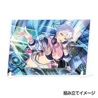 シノビマスター 閃乱カグラ NEW LINK_ビジュアルアクリルプレート 雅緋
