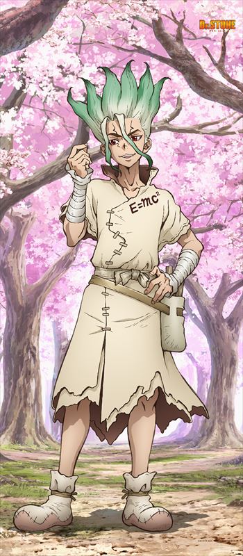 Dr.STONE_【描き下ろし】BIGタペストリー 石神千空(桜)