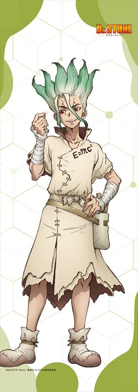 Dr.STONE_【描き下ろし】ミニタペストリー 石神千空(桜)