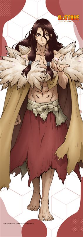 Dr.STONE_【描き下ろし】ミニタペストリー 獅子王司(桜)
