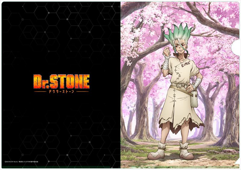 Dr.STONE_【描き下ろし】A4クリアファイル 石神千空(桜)