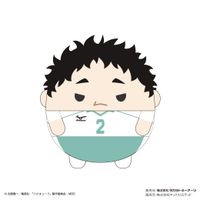 Colleize ハイキュー ふわコロりん 値段 ハイキュー ふわコロりん5