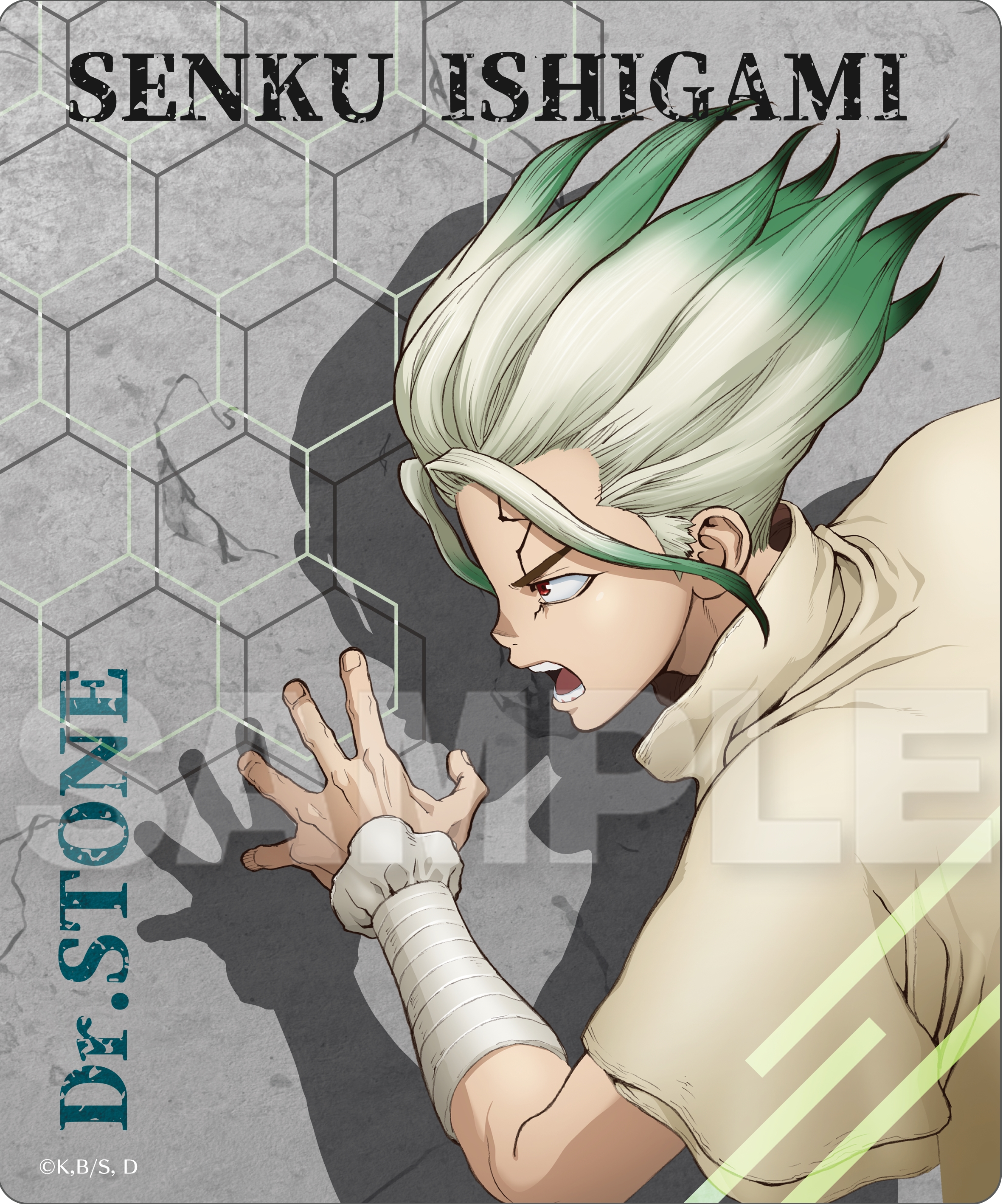 Dr.STONE_マルチラバーマット 石神千空