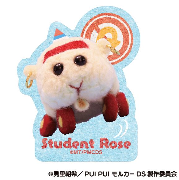 PUI PUI モルカー DRIVING SCHOOL_ダイカットステッカーミニ ⑥教習