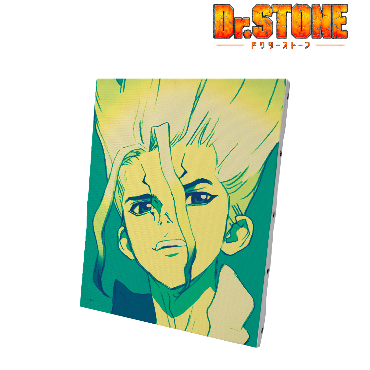 Ｄｒ．ＳＴＯＮＥ_ 石神千空 paleful キャンバスボード