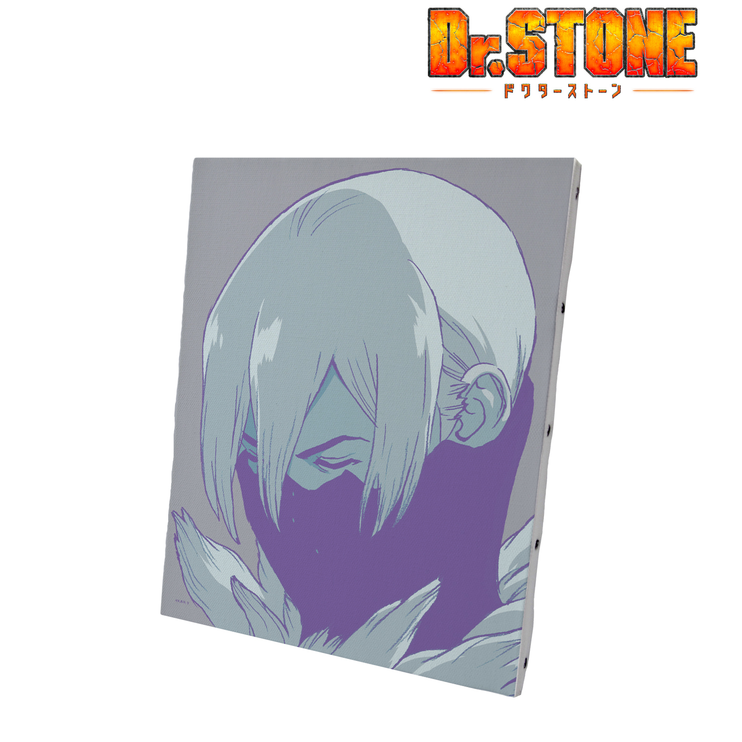 Ｄｒ．ＳＴＯＮＥ_ 氷月 paleful キャンバスボード