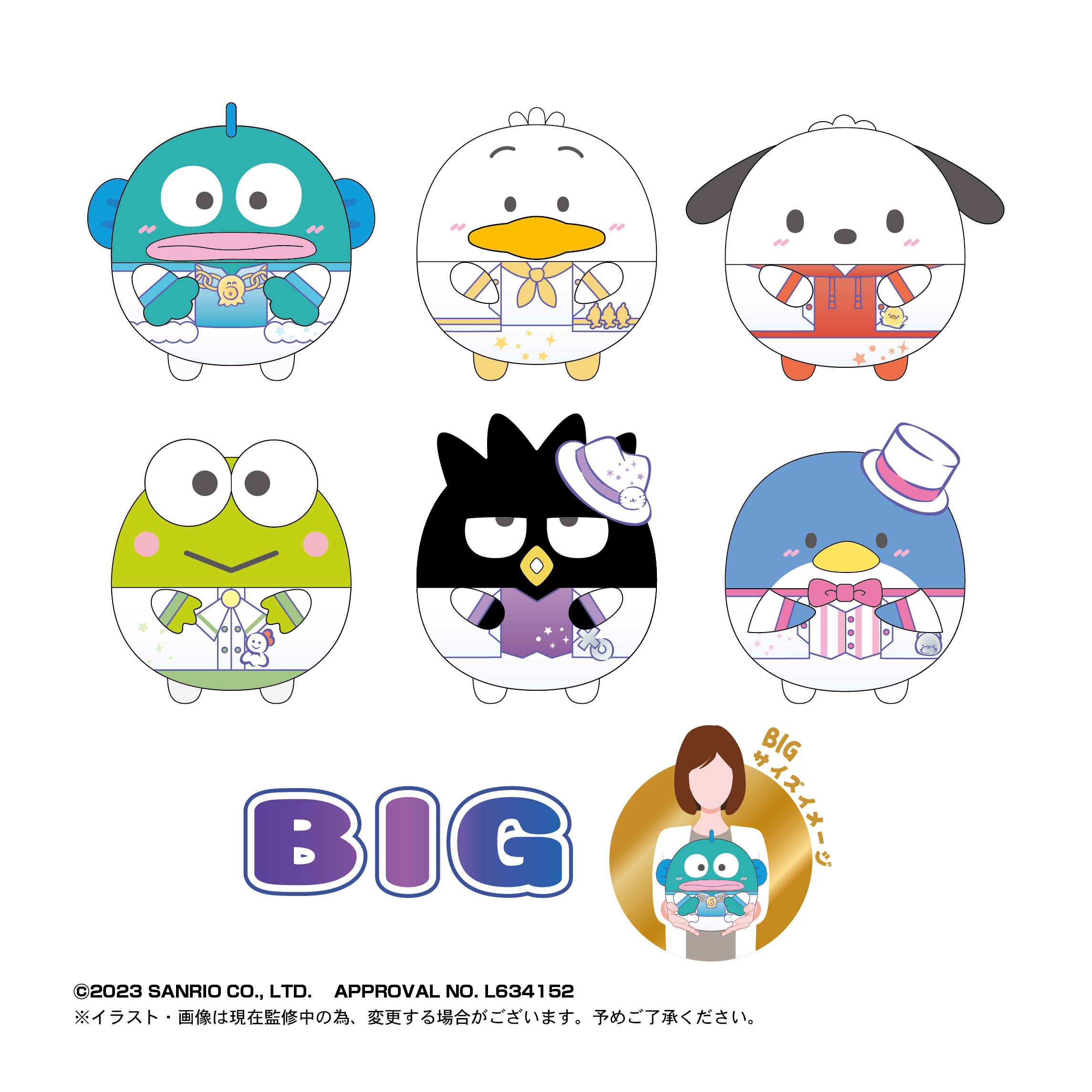 サンリオキャラクターズ_はぴだんぶい ふわコロりんBIG2 C