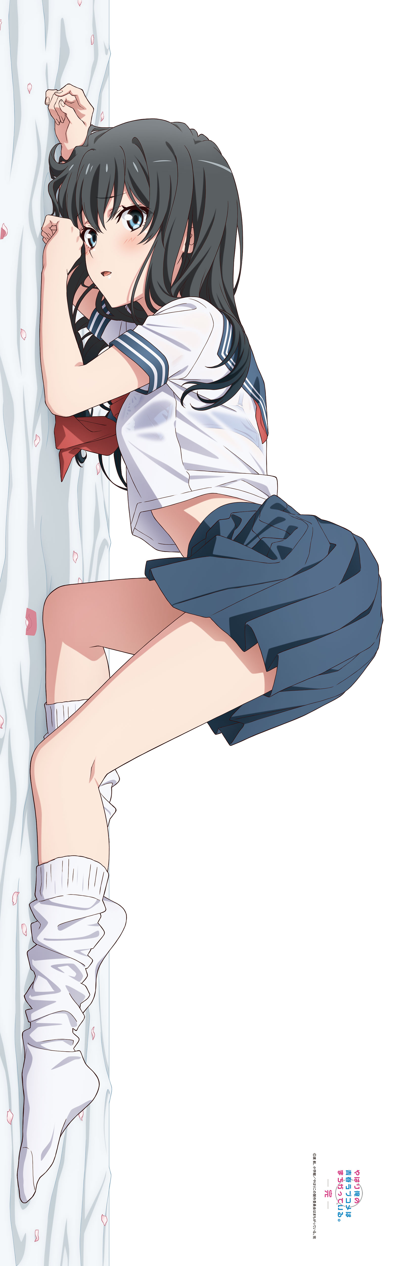 ギフト】 雪乃，抱き枕カバー両面タイプ 【ヒロ様専用】やはり俺の青春