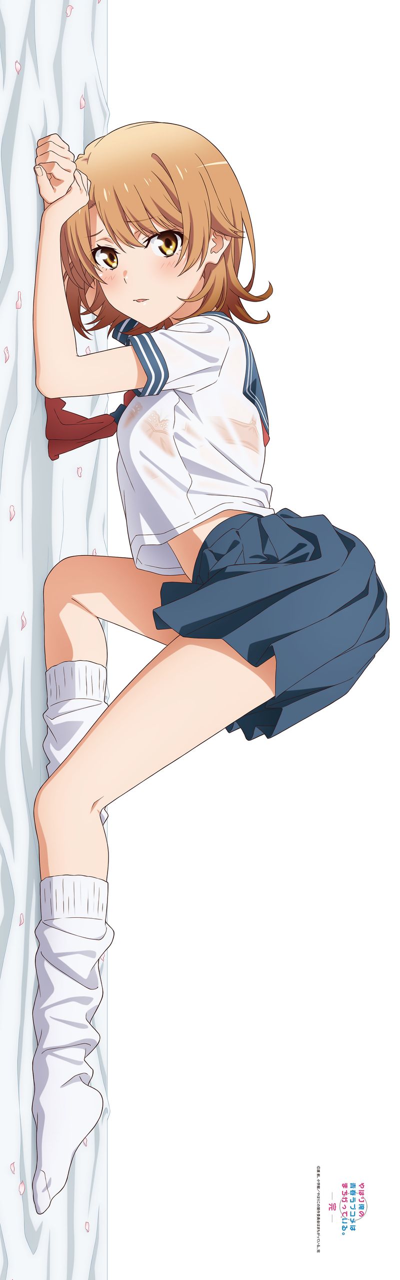 やはり俺の青春ラブコメはまちがっている。完_【描き下ろし