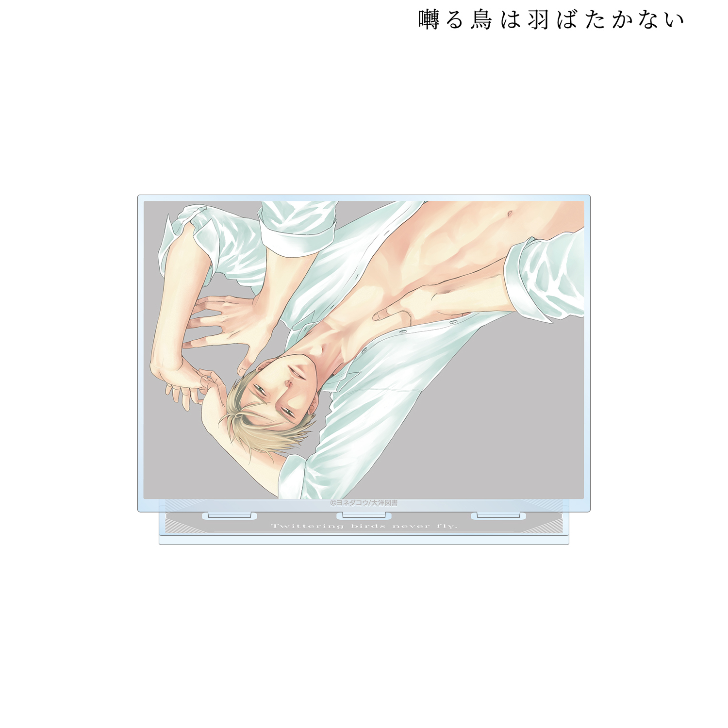 囀る鳥は羽ばたかない_表紙イラスト BIGアクリルスタンドF | 囀る鳥は 