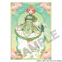 五等分の花嫁_シングルクリアファイル/中野四葉_中華ロリータ | 五等分