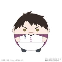 ハイキュー!!_ふわコロりんMsize7 F:牛島若利 | ハイキュー!!公式