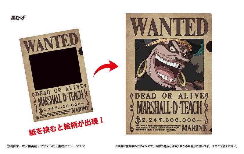 ONE PIECE_手配書トリックファイル Vol.2 黒ひげ | ONE PIECE