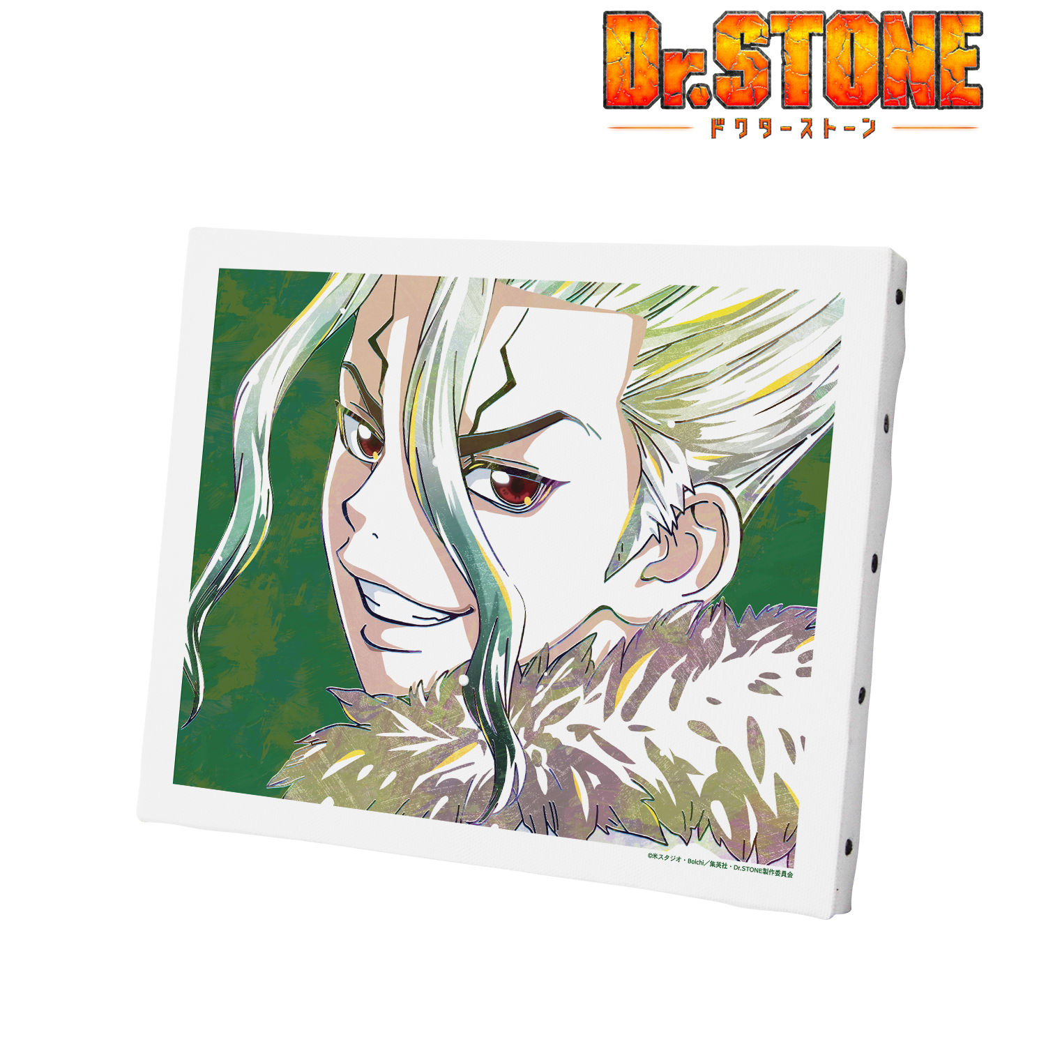 Ｄｒ．ＳＴＯＮＥ_石神千空 Ani-Art 第2弾 キャンバスボード