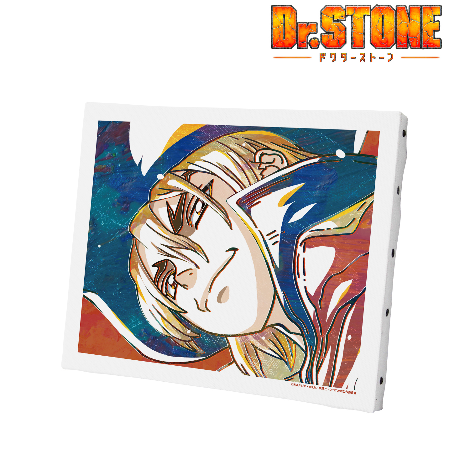 Dr.STONE ドクターストーン　レア　龍水　アートボード Amazon.co.jp: Dr.STONE 01 石神千空&七海龍水[場面写イラスト