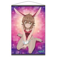 ダンジョンに出会いを求めるのは間違っているだろうかIV_B2