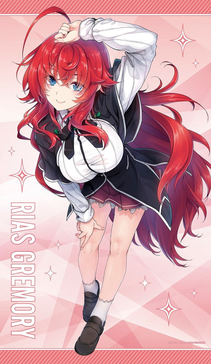 ハイスクールD×D_特大タペストリー | ハイスクールD×D公式グッズ
