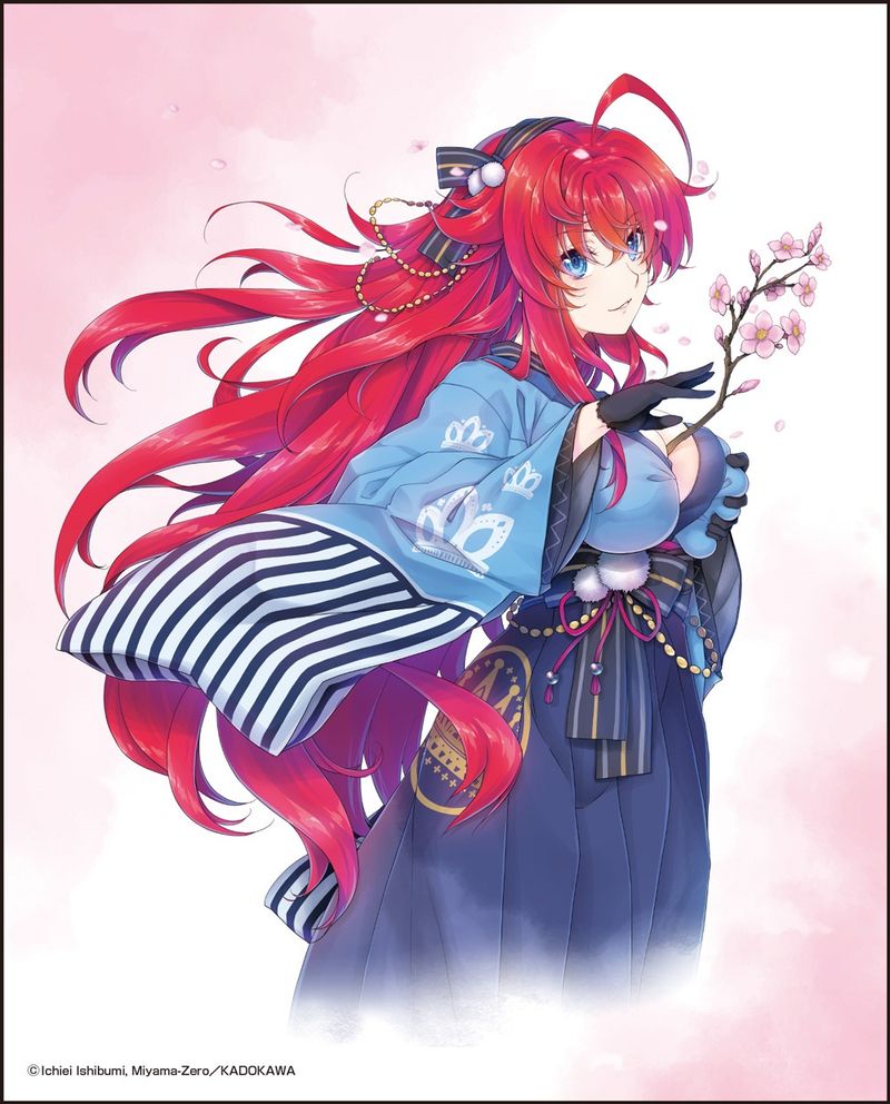 ハイスクールd×d アニメ原画　リアスグレモリー ハイスクールD×D_キャンバスアート①リアス・グレモリー | ハイ