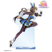 ウマ娘 プリティーダービー ROAD TO THE TOP_アドマイヤベガ BIG