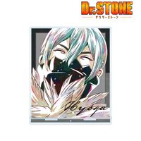 Dr.STONE 氷月 Amazon.co.jp: TVアニメ「Dr.STONE」 描き下ろしイラスト 氷月 石化前