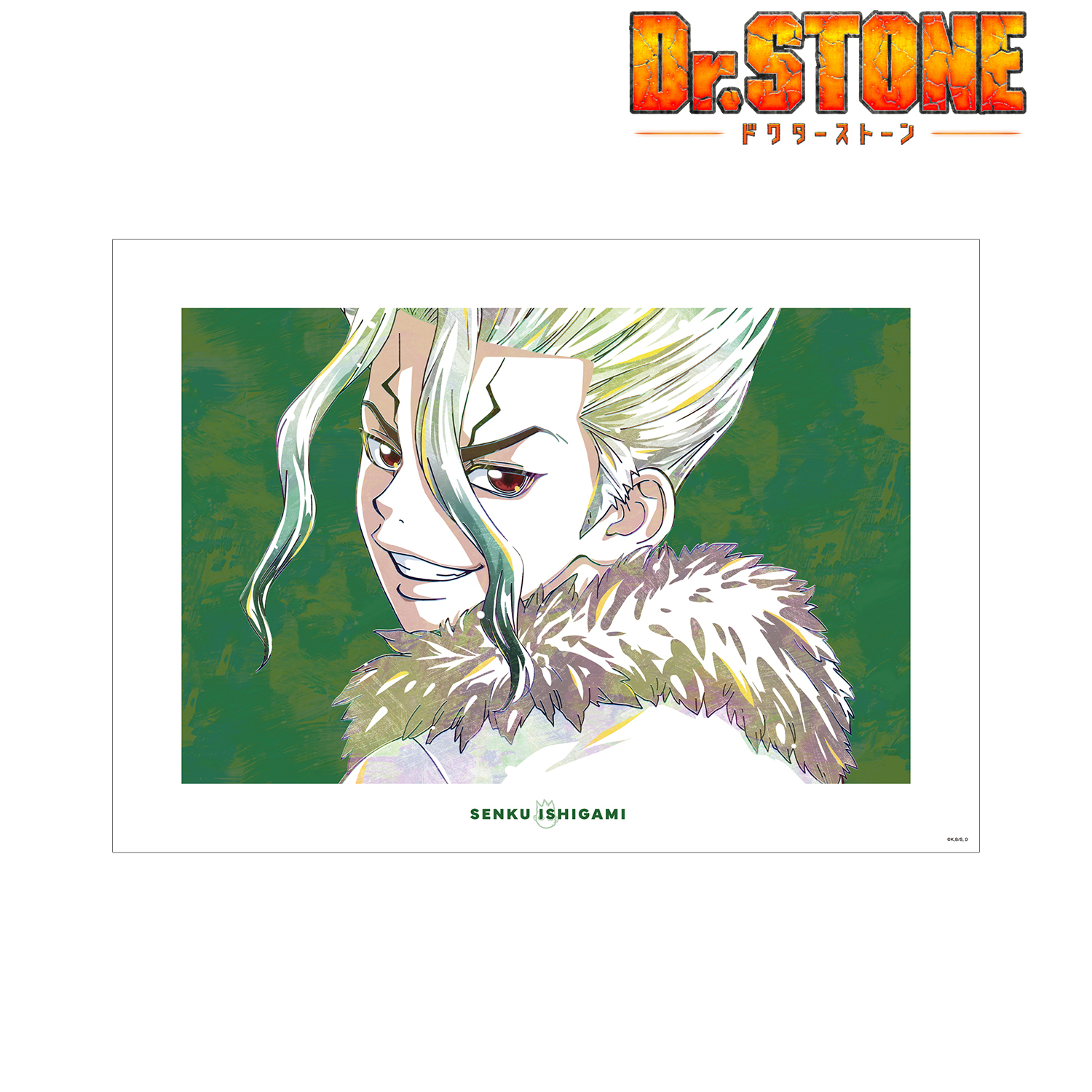 Ｄｒ．ＳＴＯＮＥ_石神千空 Ani-Art 第2弾 A3マット加工ポスター