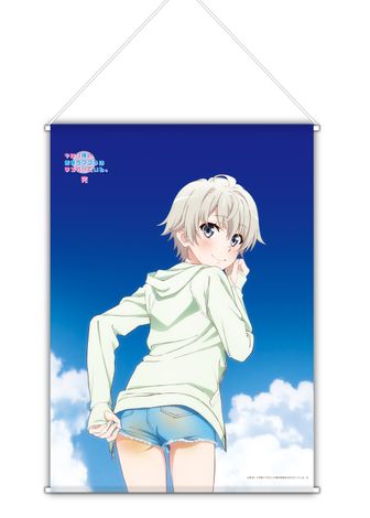 やはり俺の青春ラブコメはまちがっている。続_抱き枕カバープレミアム