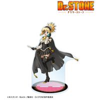 Dr.STONE_ 描き下ろしイラスト コハク 怪盗団ver. 特大アクリル