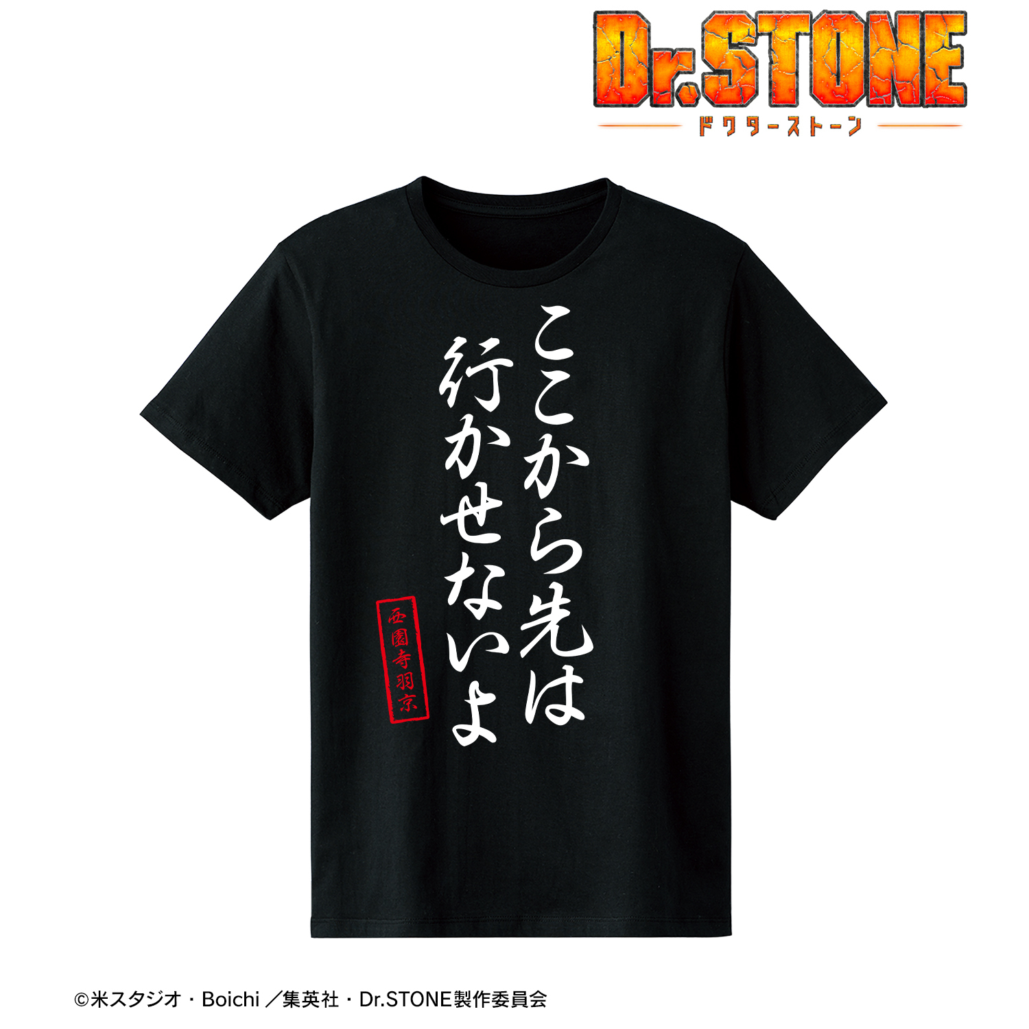 Dr.STONE_ (サイズ/S)_ここから先は行かせないよ Tシャツレディース