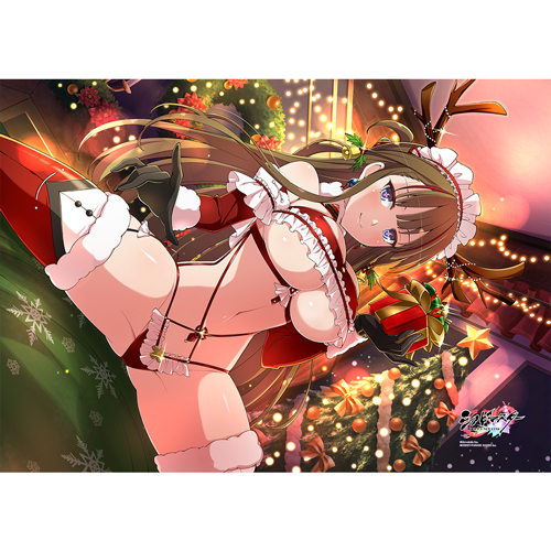 シノビマスター 閃乱カグラ NEW LINK シノマス_掛け布団カバー(鴇/盛・伝説爆乳祭)