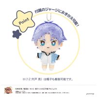 氷帝　おきがえぬいぐるみ　新テニスの王子様　テニプリ　おきぬい Amazon.co.jp: 氷帝 おきがえぬいぐるみ 新テニスの王子様 テニプリ