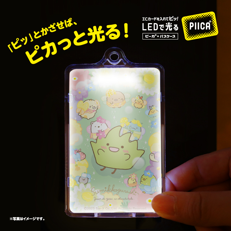 すみっコぐらし_ざっそうとようせいのお花畑1