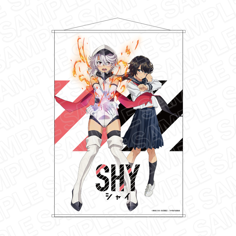 SHY_B2タペストリー ティザービジュアル