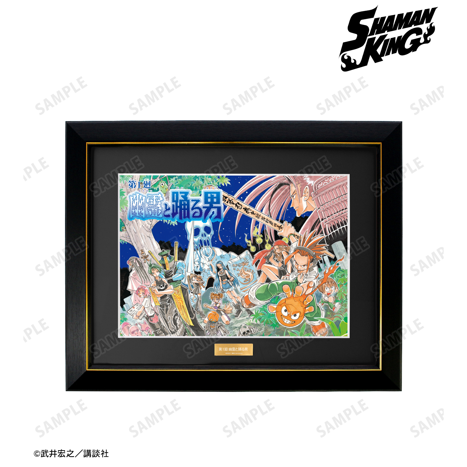 SHAMAN KING_第1廻 幽霊と踊る男 扉絵 キャラファイングラフ