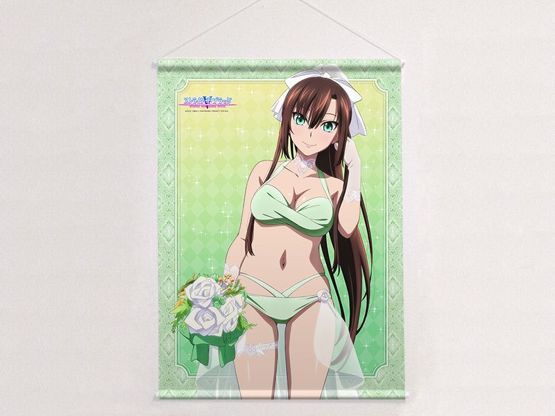 ストライク・ザ・ブラッド_描き下ろしB2タペストリー(紗矢華