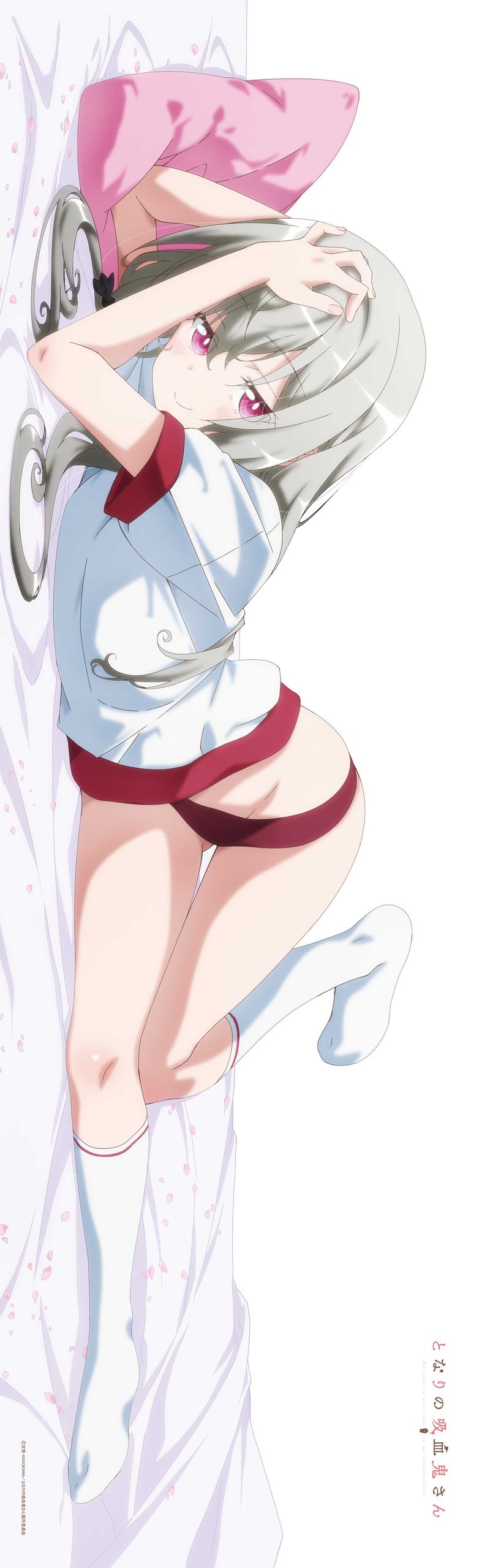 となりの吸血鬼さん_【描き下ろし】プレミアム抱き枕カバー ソフィー