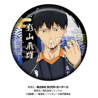 ハイキュー!!_切り絵シリーズ 箔押し和紙缶バッジ【BOX】 | ハイキュー