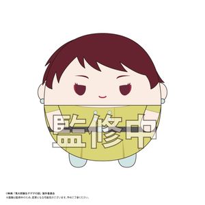 映画 鬼太郎誕生 ゲゲゲの謎_GG-05 ふわコロりんMsize D:鬼太郎の母
