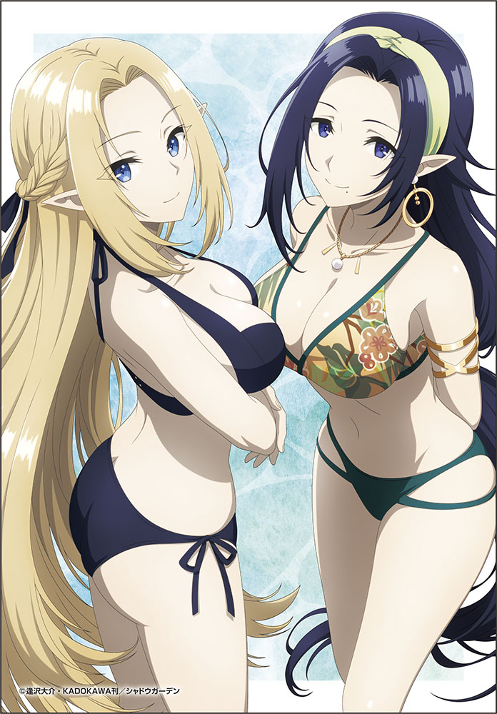 陰の実力者になりたくて!_キャンバスアート