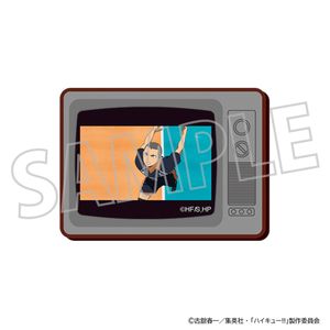 하이큐!!_TV형 마그넷/다나카 류노스케