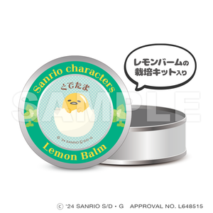 Sanrio Characters Magnet Tin Case (with Cultivation Kit) - Gudetama