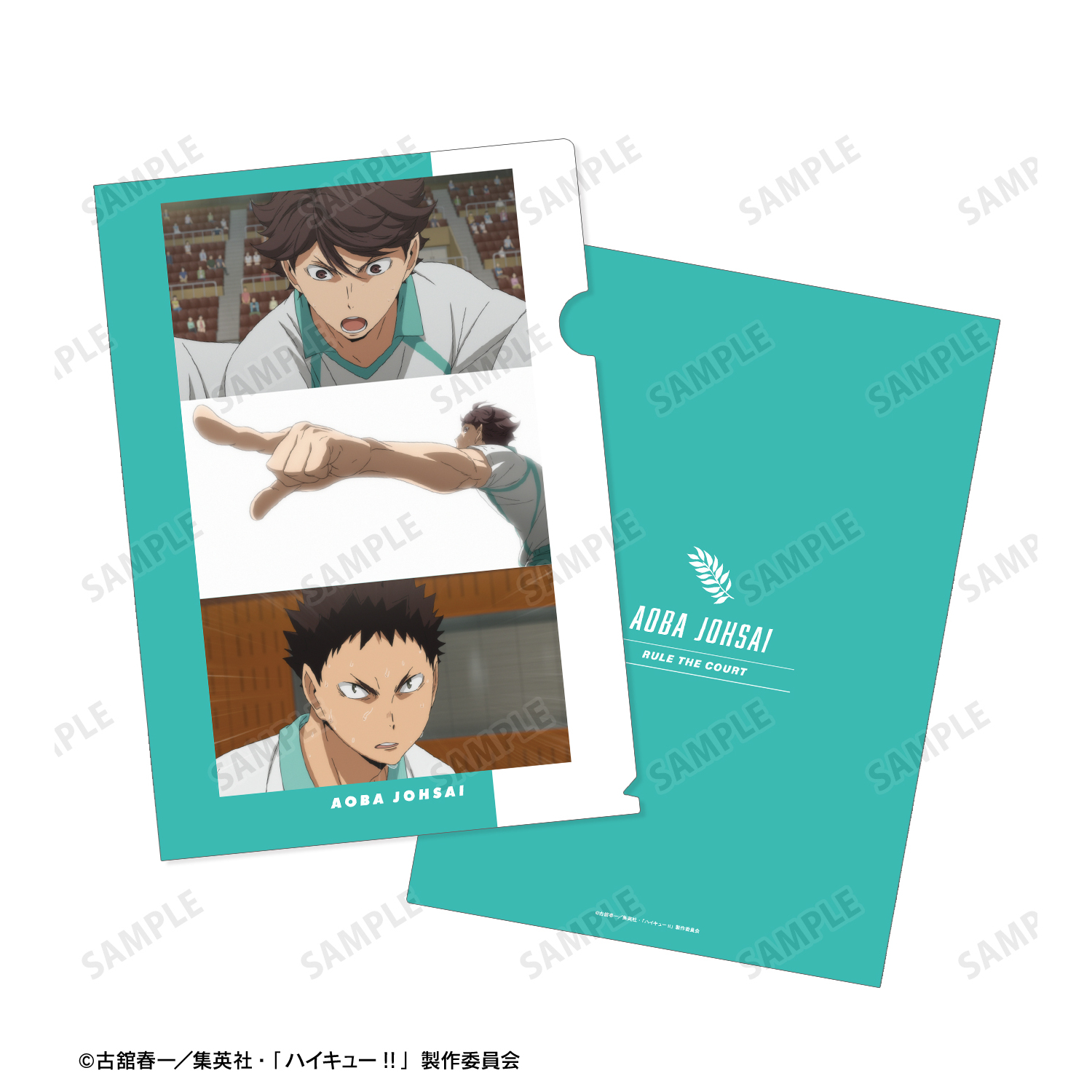 ハイキュー!!青葉城西VBCファイルコレクション