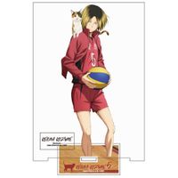 ハイキュー!!_(大)_孤爪研磨 アクリルスタンドVer.1.0 | ハイキュー