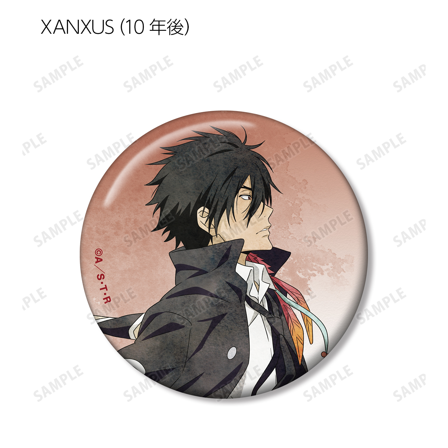 XANXUS スクアーロ 缶バッジ アニカプ グラフアート サーカス