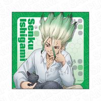 Dr.STONE_マイクロファイバー 石神千空 猫といっしょ ver. | Dr.STONE